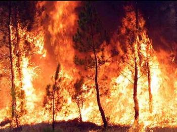 ltima hora -Los Bomberos de la Generalitat trabajan en un incendio de vegetacin en Castellar de la Ribera (Solsons)