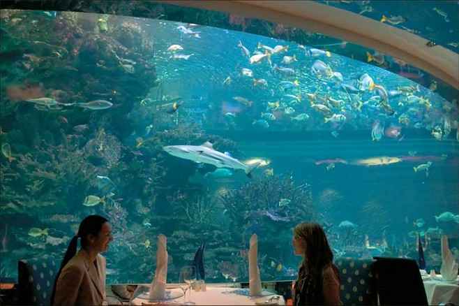 El hotel de lujo Burj Al Arab da a conocer su nuevo acuario