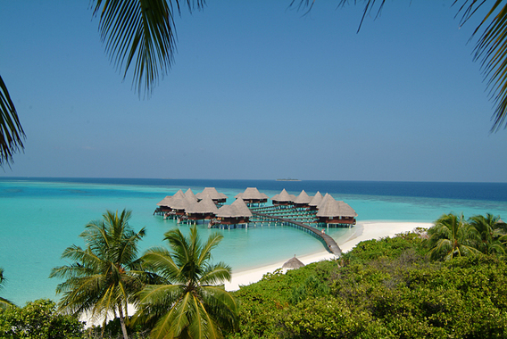 Resort Gran Lujo Coco Palm Dhuni Kolhu MALDIVAS