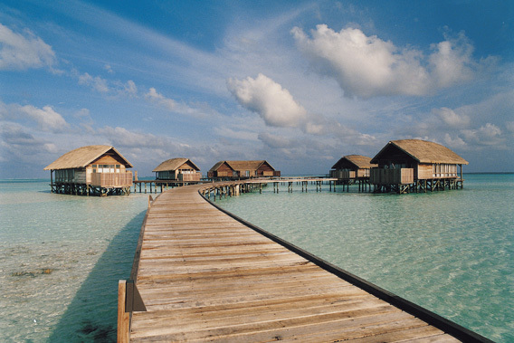 Cocoa Island - Maldivas - Resort de lujo de 5 estrellas  y Spa. Puente entre cabaas