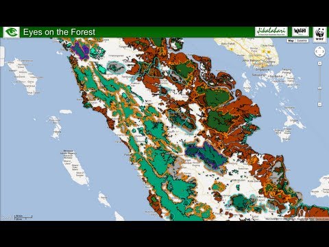 La deforestacin de Sumatra mostrada por Google Earth y Google Maps