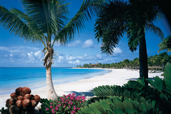 Jumby Bay,  Rosewood Resort - Antigua - Exclusivo Resort de 5 estrellas de lujo -vistas de la playa