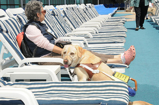 Princess Cruises acoge  perros gua en sus cruceros