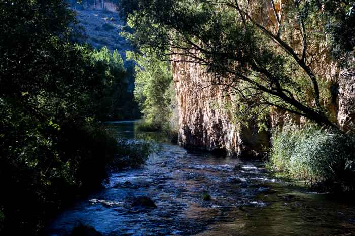 Ruta del Vino Ribera del Duero tierra de parques naturales