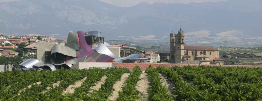 Ruta del Vino Rioja Alavesa inicia su 