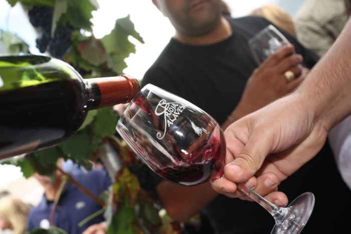 Llega la XIX Edición de la Fiesta de la Vendimia de Rioja Alavesa
