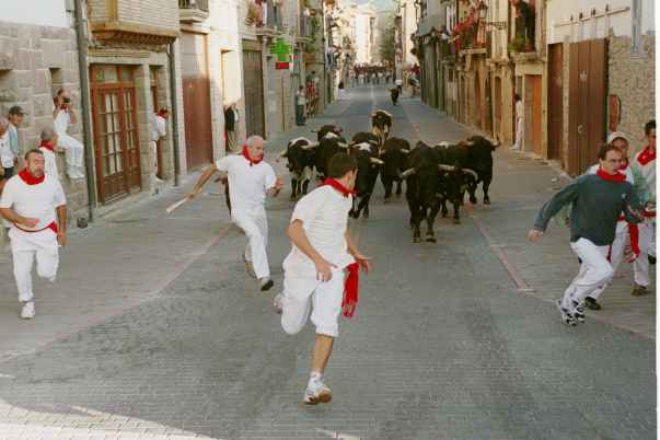 Fiestas y tradiciones centenarias en Navarra