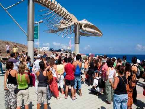 Tenerife con el turismo sostenible  - Boreal, el ecofestival que funde medio ambiente, msica y arte