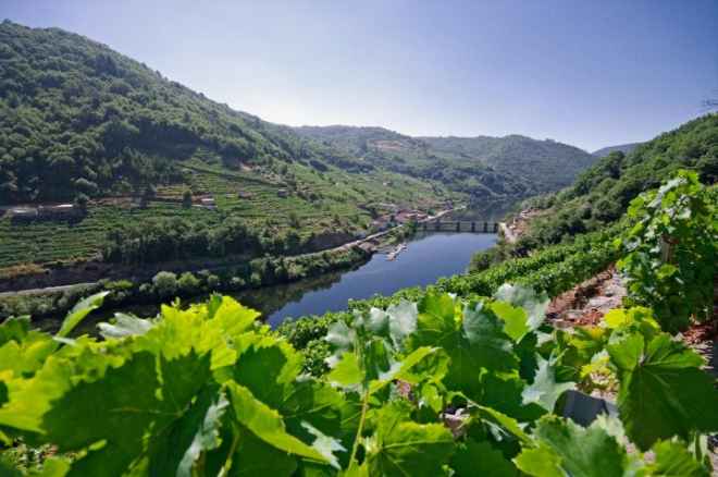 Wine Enthusiast revela los 10 mejores destinos tursticos del vino
