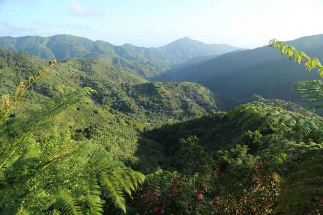 Las Blue and John Crow Mountains de Jamaica, reconocidas por la UNESCO