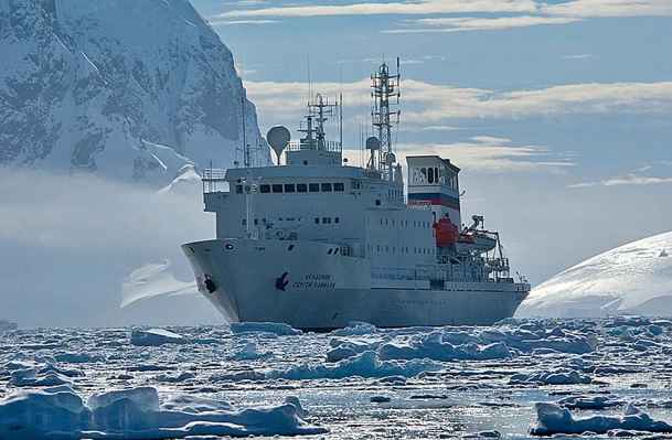 Crucero especial de observacin de mamferos marinos antrticos
