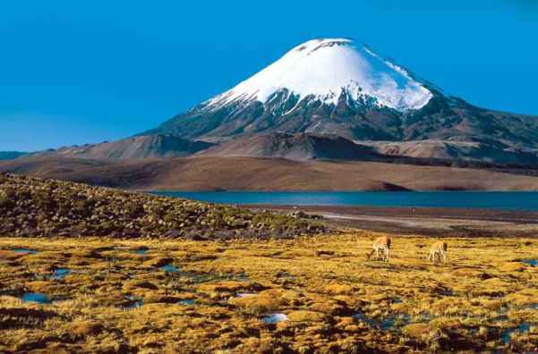 Descubre Chile, la Patagonia y el desierto de Atacama a caballo