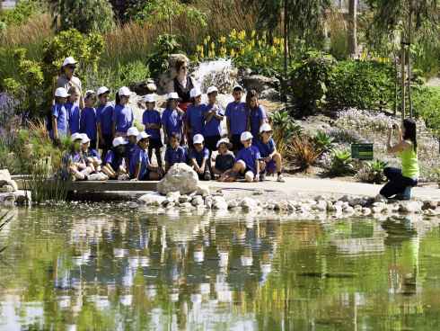 500 escolares de cuatro colegios alicantinos han participado en 'Descubre el Parque del Mar'