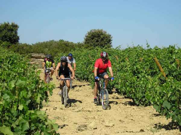 Cinco planes para vivir la Rioja Alavesa un enfoque distinto