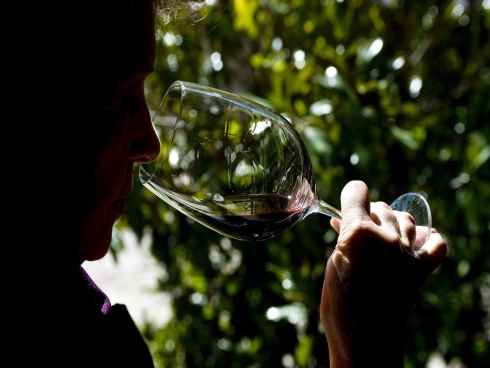 Extremadura apuesta por el turismo enogastronmico con The Winestorming