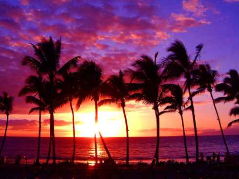 Vacaciones familiares en Hawai: Gua de Viajes
